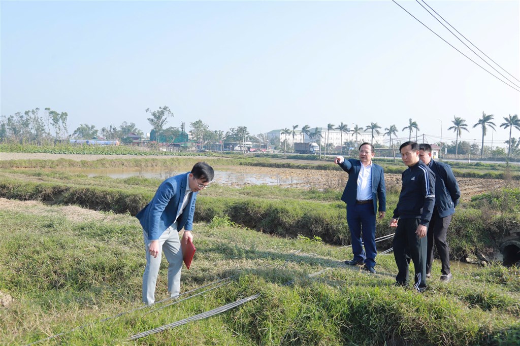 Sở Khoa học và Công nghệ Nghệ An kiểm tra công tác chỉnh trang, hạ ngầm mạng cáp viễn thông